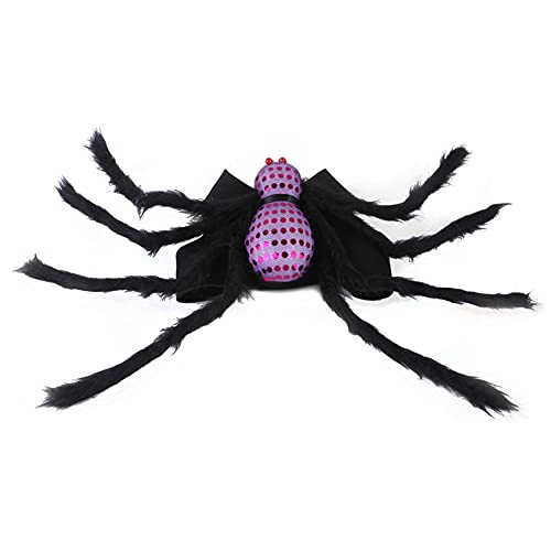 Cicano Halloween Spinne Kostüm für Katze Hund Haustier Halloween Dekor Kostüm Halsband für Kätzchen Welpen Lila M von Cicano