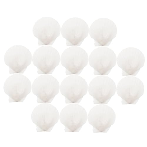 Ciieeo 16stücke Natürliche Große Muscheln Aquarium Dekoration DIY Verschönerung Material Muschelornament Basteln Spiegel Kerzen Kränzen Ciieeo 16stücke Natürliche Große Muscheln Aquarium Dekoration DIY Verschönerung Material Muschelornament Basteln Spiegel Kerzen Kränzen von Ciieeo