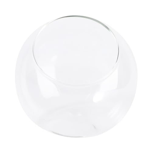 Ciieeo 1Stück Mini Landschafts Glasflasche DIY Micro Terrarium Container für Dekoration Kompakt und Langlebig für Design Jedem von Ciieeo