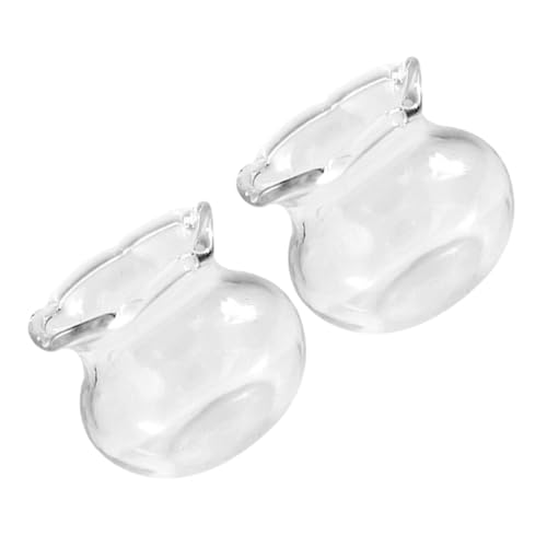 Ciieeo 2 Stück Kleiner Fischtank Miniatur-Aquarium Betta-fischschale Kleines Mini-Aquarium Mini-spielzeugaquarium Mini-fischschalen Transparent Glas von Ciieeo