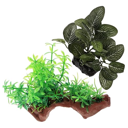 Ciieeo 2stücke Aquarienpflanzen Dekoration Für Fischaquarien Zubehör Kleine Pflanzen Natürliche Aussehen Für Aquarium Zubehör Für Schildkrötenaquarien Ciieeo 2stücke Aquarienpflanzen Dekoration Für Fischaquarien Zubehör Kleine Pflanzen Natürliche Aussehen Für Aquarium Zubehör Für Schildkrötenaquarien von Ciieeo