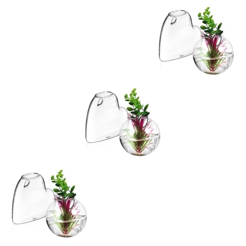 Ciieeo 3 Sätze Glasvase Pflanzenwandaufhänger Pflanzenregal Hängende Blumentöpfe Hängende Töpfe Pflanzenterrarium Wandbehang Pflanzenständer Wasserpflanzenhalter 2 Stück * 3 von Ciieeo