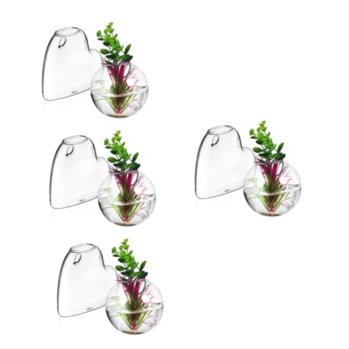 Ciieeo 4 Sätze Glasvase Pflanzen Terrarium Wandvase Für Blumen Hängende Vermehrungsstation Hängendes Terrarium Ausbreitung Wandbehang Glas Mit Hohem Borosilikatgehalt 2 Stück * 4 Ciieeo 4 Sätze Glasvase Pflanzen Terrarium Wandvase Für Blumen Hängende Vermehrungsstation Hängendes Terrarium Ausbreitung Wandbehang Glas Mit Hohem Borosilikatgehalt 2 Stück * 4 von Ciieeo