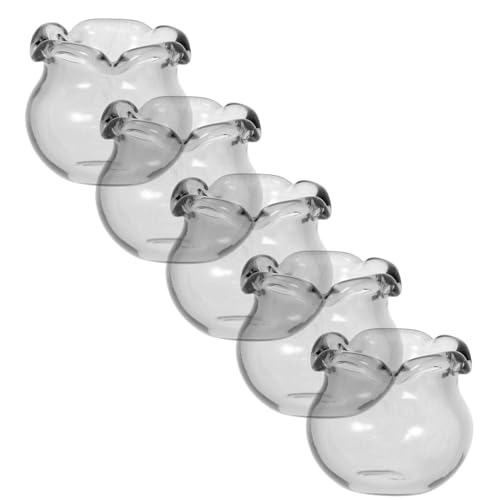 Ciieeo 5 Stück Mini Glas Aquarium Leer Mikro Landschaft Fisch Ornament Winziges Glas Goldfischglas Desktop Aquarium Mikro Landschaft Fischglas Mini Puppenhaus Zubehör Ciieeo 5 Stück Mini Glas Aquarium Leer Mikro Landschaft Fisch Ornament Winziges Glas Goldfischglas Desktop Aquarium Mikro Landschaft Fischglas Mini Puppenhaus Zubehör von Ciieeo