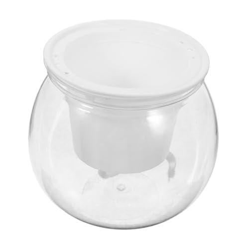 Ciieeo Aquarium Behälter für Wasserpflanzen und Fische Transparenter Desktop Fischtank Stabilisiertem Kunststoff für Aquarien Dekoration und Kleine Schildkröten Ciieeo Aquarium Behälter für Wasserpflanzen und Fische Transparenter Desktop Fischtank Stabilisiertem Kunststoff für Aquarien Dekoration und Kleine Schildkröten von Ciieeo