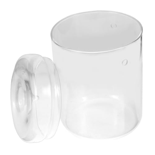 Ciieeo Blumentopf Deckel Landschaft Container Glas Terrarium Für Anlage Display Desktop Anlage Ciieeo Blumentopf Deckel Landschaft Container Glas Terrarium Für Anlage Display Desktop Anlage von Ciieeo
