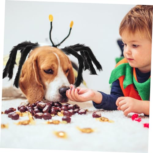 Ciieeo Halloween Haustier Spinnenkostüm Xs Bequeme Leichte Verkleidung für Hunde und Katzen Lustige Halloween Hundekleidung Passgenaue Pet Cosplay Kleidung für Spaßige Kostümpartys Ciieeo Halloween Haustier Spinnenkostüm Xs Bequeme Leichte Verkleidung für Hunde und Katzen Lustige Halloween Hundekleidung Passgenaue Pet Cosplay Kleidung für Spaßige Kostümpartys von Ciieeo