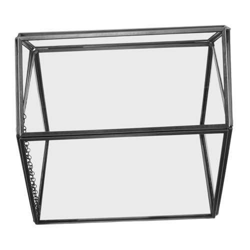 Ciieeo Handgefertigtes Glas-pflanzgefäß-Terrarium: Pflanzenbehälter Mit Deckel – Tischgewächshaus Für Den Innenbereich Als Schaukasten Für Tafelaufsätze – DIY Sukkulenten Kakteen Blumen von Ciieeo