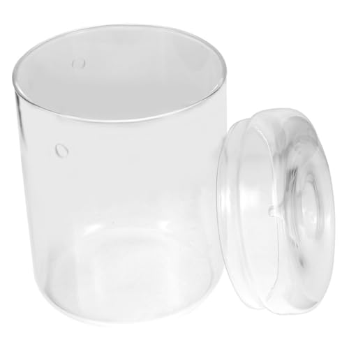 Ciieeo Landschaftsflasche Terrarium Glasbehälter Für Kreative Pflanzenarrangements Transparente -vase Für Zimmerpflanzen Wohnzimmer Büro Badezimmer von Ciieeo