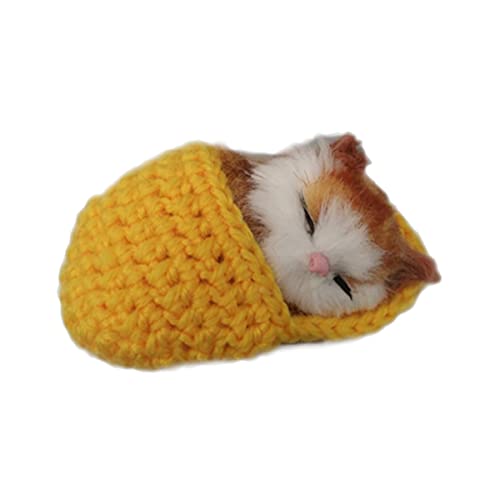 Ciieeo Katzenspielzeug Für Kinder Kätzchen Gefüllte Plüschtiere Mini-Katze Im Schuhspielzeug Pädagogisches Katzenspielzeug Miniatur Schlafende Katze Im Pantoffel Zubehör Das Bett Zylinder Ciieeo Katzenspielzeug Für Kinder Kätzchen Gefüllte Plüschtiere Mini-Katze Im Schuhspielzeug Pädagogisches Katzenspielzeug Miniatur Schlafende Katze Im Pantoffel Zubehör Das Bett Zylinder von Ciieeo