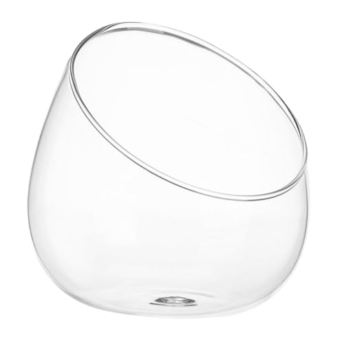 Ciieeo Klare Glasvase mit Schrägem Öffnung Moderner Lotus Bowl Planter Hydroponischer Pflanztopf Stilvolles Terrarium für Hochzeit Tischdeko Wohnzimmer Büro Sukkulenten Moos Ciieeo Klare Glasvase mit Schrägem Öffnung Moderner Lotus Bowl Planter Hydroponischer Pflanztopf Stilvolles Terrarium für Hochzeit Tischdeko Wohnzimmer Büro Sukkulenten Moos von Ciieeo