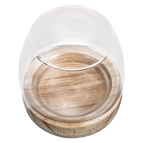 Ciieeo Kleine Glasvase mit Holzsockel Multifunktionale Hydroponik Blumenflasche Transparenter Fischschale für Mikrolandschaften und Wohnraumdekoration Leicht und Tragbar für Zuhause und von Ciieeo