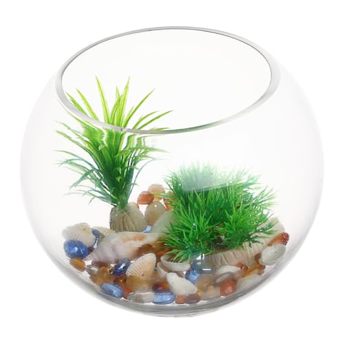 Ciieeo Rundes Glasfischglas Transparentes Kleines Aquarium für Goldfische für Wohnzimmer und Büro Hochtransparente zur Dekoration mit Pflanzen und Blumen Ciieeo Rundes Glasfischglas Transparentes Kleines Aquarium für Goldfische für Wohnzimmer und Büro Hochtransparente zur Dekoration mit Pflanzen und Blumen von Ciieeo