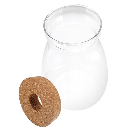 Ciieeo Terrarium Glasbehälter Für Hydroponikpflanzen Großes Dekoratives Ökosystem Mit Lochdeckel Für Sukkulenten Und Zimmerpflanzen Für Innenräume Und Tischdekoration von Ciieeo