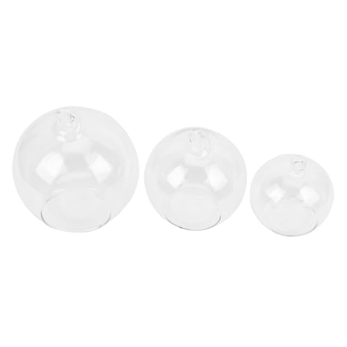 Ciieeo Terrarium Pflanzenzwiebelvase Hängende Glasvase Set 3er Pack Wohnkultur von Ciieeo