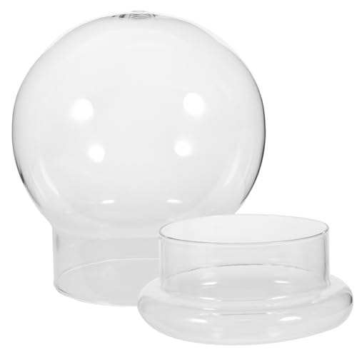 Ciieeo Terrarium für Pflanzen DIY Mikro Landschafts Glasflasche mit Kuppel Design für Moos und Kleine Pflanzen Dekorativer Flaschengarten für Zuhause Ciieeo Terrarium für Pflanzen DIY Mikro Landschafts Glasflasche mit Kuppel Design für Moos und Kleine Pflanzen Dekorativer Flaschengarten für Zuhause von Ciieeo