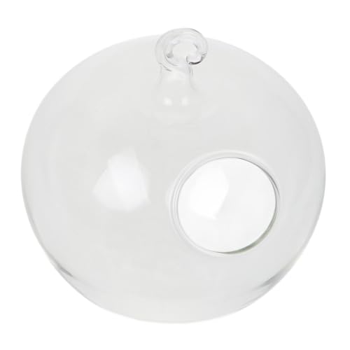 Ciieeo Transparente Glasvase im Apfel Design Hängendes Terrarium für Wasserpflanzen und Betta Fische als Dekorativer Tischaufsatz für Büro und Wohnzimmer von Ciieeo