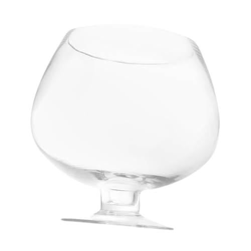 Ciieeo Transparenter Betta Fischtank Kleines Desktop Aquarium Goldfischschüssel Goblet Design Terrarium für Pflanzen und Fische von Ciieeo