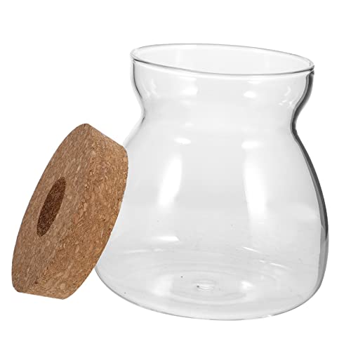 Ciieeo Umweltfreundliches Terrarium Aus Glas Hydrokulturtopf Mit Deckel Ideal Für Zimmerpflanzen Dekorative Terrarien Für Zuhause von Ciieeo