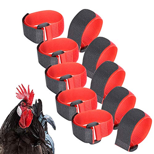 5Bag Anti-Haken Hahn Kragen Nylon No Crow Hahn Kragen Noise Free Neck Belt Pet Chicken Supply von Cikonielf