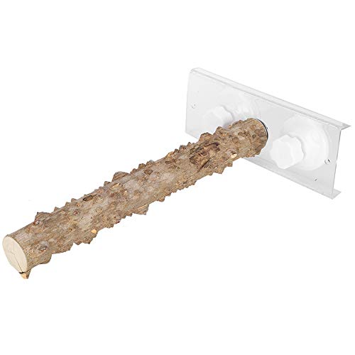 30cm Papagei Stand Barsch Spielzeug Holzpapagei Einfacher Stand Vogel Dusche Barsch mit Saugnapf für Verschiedene Haustiervögel von Cikonielf