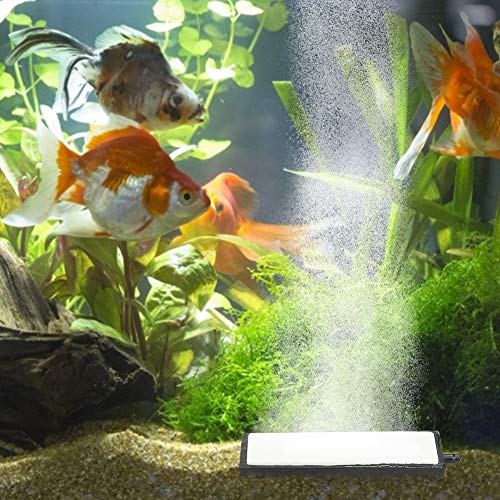 Cikonielf Aquarium Sauerstoff Stein Auströmer Aquarium Luftstein Luftblasen Zerstäuber Luftblasen Aquarium Luftstein für Aquarium Aquarien Fisch Tank für mehr Sauerstoff(20cm) von Cikonielf