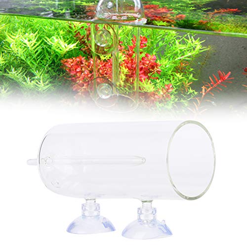 Glas hoch aufgelöste Aquarium Aquarium Sauerstoff Belüftung Sauerstoff langlebig und lange Lebensdauer Belüftung Aquarium Ausrüstung Zubehör Werkzeug für Aquarium Fish Bowl(Luftstein nicht enthalten) Glas hoch aufgelöste Aquarium Aquarium Sauerstoff Belüftung Sauerstoff langlebig und lange Lebensdauer Belüftung Aquarium Ausrüstung Zubehör Werkzeug für Aquarium Fish Bowl(Luftstein nicht enthalten) von Cikonielf