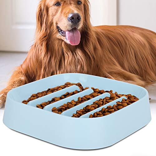 Pet Dog Bowl Slow Feeder Futterqualität Dog Food Bowl Quadratische Form Pet Slow Food Bowl für Hunde Katzen Welpen(Blau) von Cikonielf