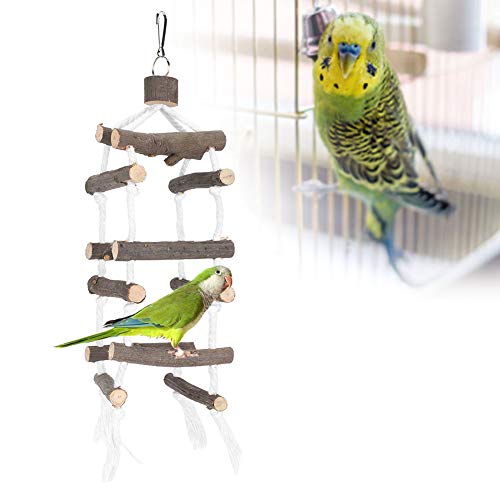 Vogelspielzeug Papagei Spielplatz Vogelspielplatz mit vielen Sitzstangen, Nymphensittich Spielplatz Holz Barsch für kleine Papageien, Sittiche, Nymphensittiche, Wellensittich Vogelspielzeug Papagei Spielplatz Vogelspielplatz mit vielen Sitzstangen, Nymphensittich Spielplatz Holz Barsch für kleine Papageien, Sittiche, Nymphensittiche, Wellensittich von Cikonielf