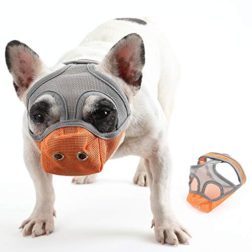 Cilkus Maulkorb für Hunde mit kurzer Schnauze – Bulldoggen-Maulkorb, verstellbar, atmungsaktives Netzgewebe, Anti-Beißen und Training Hundemaske (M (41.9 cm – 43.9 cm), orange) von Cilkus