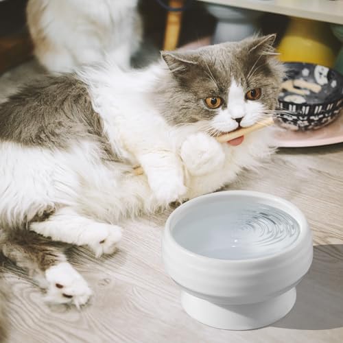 Cinf® Keramik Katzenfutternapf 400ml für Nass-Trockenfutter und Wasser,perfekt für Katzen,Welpen und kleine Hunde,Weiß，Ø13,6 x 8 cm von Cinf