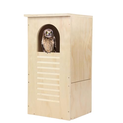 Cinnvoice Große Eulenhäuser für den Außenbereich, 33 x 33 x 66 cm, behandeltes Sperrholz, Eulen-Nistkasten mit Bogenöffnung, großes Vogelhaus für den Außenbereich, einfache Montage erforderlich von Cinnvoice