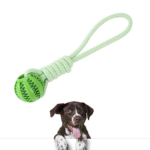 Cixilo Langeweile Linderung Essen Kleie Training Hund Spielzeug Kauen Ball Schleifen Mit Seil(Gren) von Cixilo