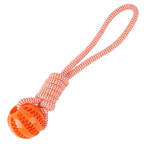 Cixilo Schleifen, Fangen, Kauen, Ball, Leckerli, Spender, Jagen mit Seil, Hundespielzeug, Healtii(Orange) von Cixilo