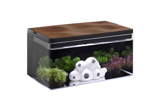 Clairnara Harmony-Wassertank – Harmonie-Legende – iF Design Award gekröntes All-in-One-Aquarium, 35 l Clairnara Harmony-Wassertank – Harmonie-Legende – iF Design Award gekröntes All-in-One-Aquarium, 35 l von Clairnara