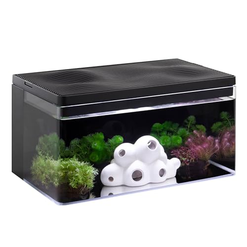 Clairnara Harmony-Wassertank – Harmonie-Legende – iF Design preisgekröntes All-in-One-Aquarium Clairnara Harmony-Wassertank – Harmonie-Legende – iF Design preisgekröntes All-in-One-Aquarium von Clairnara