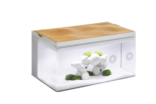 Clairnara Harmony-Wassertank von Clairnara – Harmonie-Legende – iF Design preisgekröntes All-in-One-Aquarium (weißer Tank mit Zedernholz-Oberseite, Harmonie-Legende) von Clairnara