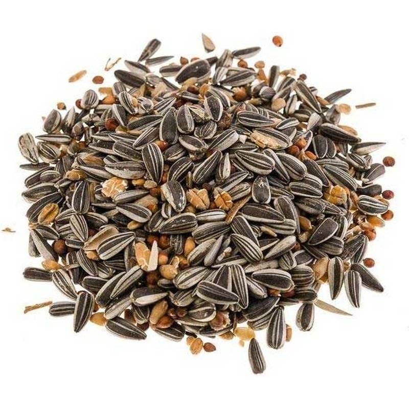 Classic Bird Winter-Streufutter Premium - 25 kg (1,96 € pro 1 kg) von Classic Heimtiernahrung
