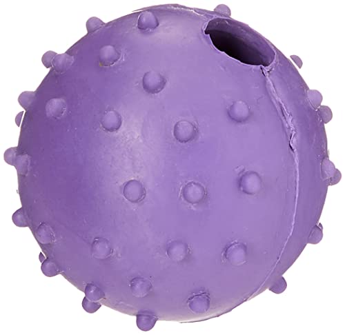 CLASSIC for Dogs Noppenball aus Gummi mit Glocke von Classic Pet Products