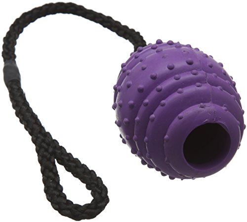 Classic Pet Products Gummi oval Ball an einem Seil, groß, 100 mm, Lila/Schwarz von Classic Pet Products