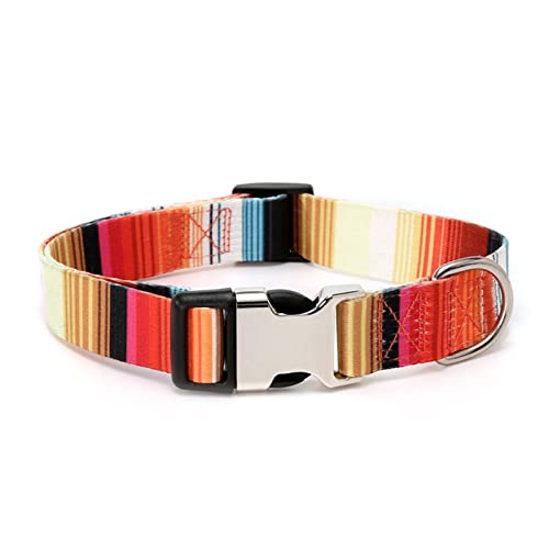 Clenp Kätzchenhalsband, stilvoll, bedruckt, mit Leine, kostenlose Gravur, Orange S Clenp Kätzchenhalsband, stilvoll, bedruckt, mit Leine, kostenlose Gravur, Orange S von Clenp