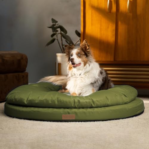 ClevaHome Orthopädisches Hundebett für große Hunde – Rund, Doppelschicht-Schaum, Wasserabweisend, Waschbarer Bezug, rutschfeste Unterseite (Olivgrün, 91,4 x 91,4 x 17,8 cm (L x B x H)) von Cleva