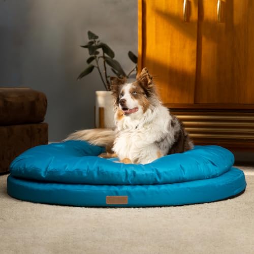 ClevaHome Orthopädisches Hundebett für große Hunde – Rund, Doppelschicht-Schaum, Wasserabweisend, Waschbarer Bezug, rutschfeste Unterseite ClevaHome Orthopädisches Hundebett für große Hunde – Rund, Doppelschicht-Schaum, Wasserabweisend, Waschbarer Bezug, rutschfeste Unterseite von Cleva