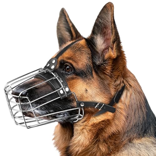 CleverTail Deutscher Schäferhund Maulkorb für große Hunde - Metall Hund Maulkorb für Deutschen Schäferhund - Stahlkorb Maulkorb für große Hunde - Drahtkäfigmaulkorb für mittelgroße Hunde Husky CleverTail Deutscher Schäferhund Maulkorb für große Hunde - Metall Hund Maulkorb für Deutschen Schäferhund - Stahlkorb Maulkorb für große Hunde - Drahtkäfigmaulkorb für mittelgroße Hunde Husky von CleverTail