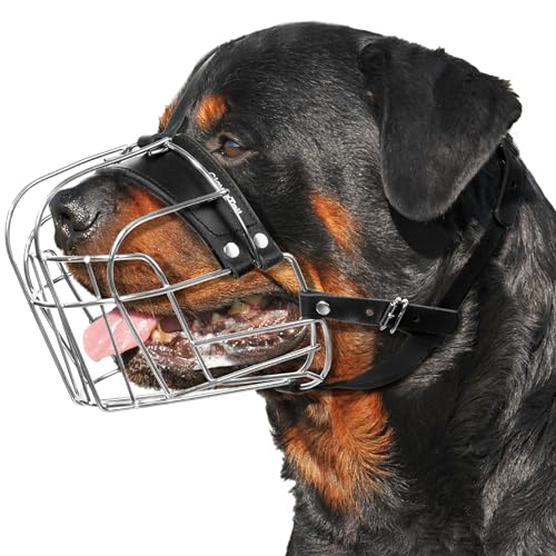 CleverTail Hundemaulkorb aus Metall für große Hunde – robuster Rottweiler-Maulkorb – Großer Korb Hundemaulkorb zum Bellen und Beißen von Cane Corso, Mastiff, Labrador, Bulldogge, Alabai und anderen CleverTail Hundemaulkorb aus Metall für große Hunde – robuster Rottweiler-Maulkorb – Großer Korb Hundemaulkorb zum Bellen und Beißen von Cane Corso, Mastiff, Labrador, Bulldogge, Alabai und anderen von CleverTail