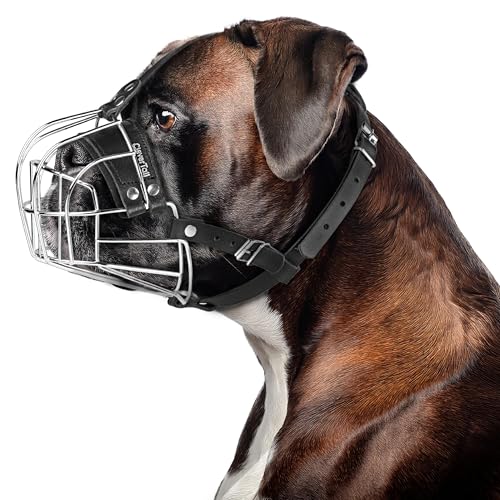 CleverTail Maulkorb aus Metall für Boxer-Hunderasse – bissfester Boxer-Maulkorb für mittelgroße und große Hunde – Stahldrahtkorb Maulkörbe für Hunde, Englische Bulldogge, amerikanische Bulldogge usw. CleverTail Maulkorb aus Metall für Boxer-Hunderasse – bissfester Boxer-Maulkorb für mittelgroße und große Hunde – Stahldrahtkorb Maulkörbe für Hunde, Englische Bulldogge, amerikanische Bulldogge usw. von CleverTail