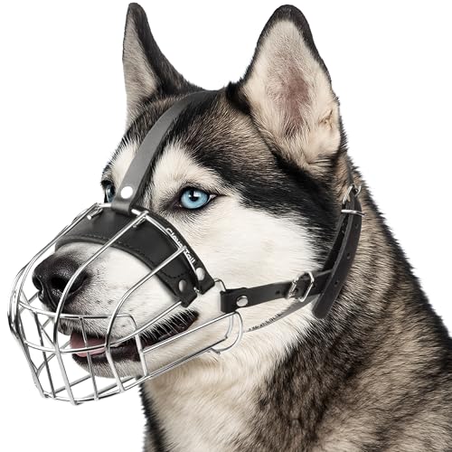 CleverTail Metall Husky Maulkorb für große Hunde - Korb Maulkorb für Hunde mit verstellbaren Lederriemen - Stahlkäfig Hundemaulkorb gegen Beißen und Fressen - Mundschutz für große und mittelgroße CleverTail Metall Husky Maulkorb für große Hunde - Korb Maulkorb für Hunde mit verstellbaren Lederriemen - Stahlkäfig Hundemaulkorb gegen Beißen und Fressen - Mundschutz für große und mittelgroße von CleverTail
