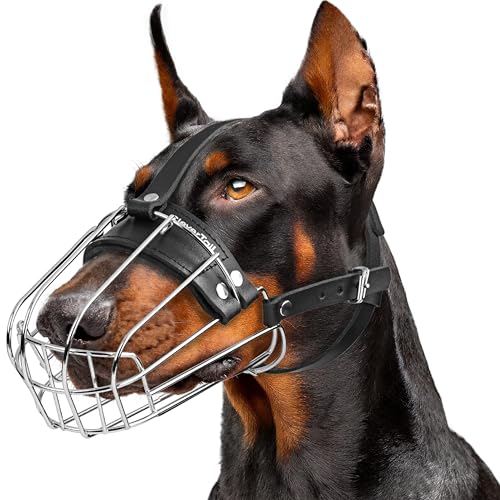Maulkorb für Dobermann L Maulkorb für Dobermann L von CleverTail