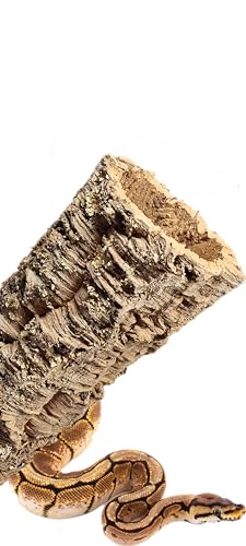XXL Korkröhre für Terrarium (55-70cm lang/14-17cm innen), Kork Deko Tunnel für Tiere, Baumrinde vom Kork Stamm, Versteck für Schlange, Wellensittich, Zerghamster, Hamster Höhle aus 100% Korkrinde von Cleverbrand