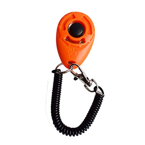 1 Stück Dog Pet Click Clicker Training Trainer Hilfe Handschlaufe FOp40 (Orange, One Size) von Clicitina